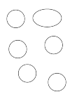 which is not a circle?