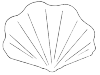 This is one of the most famous shell species, the cockle