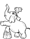 Circus Elephant, with 1 seed in an attribute