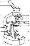 microscope