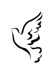 peace dove, drawn in separate lines. He flies to the left of the drawing.