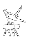 gymnastics, with one arm leaning on the goat and then your body getrekt float in the air.
