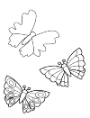 Butterflies