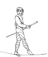 Equilibrist