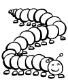 Centipede