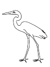 Reiger