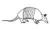 Armadillo