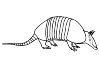 Armadillo