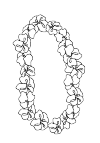 Hawaii pendulum