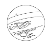 Planeet Jupiter
