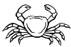 Crab