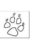 paw print