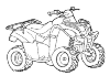 Quad