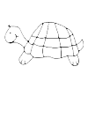 Tortoise