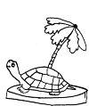 Tortoise in a palm tree