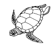 Sea turtle